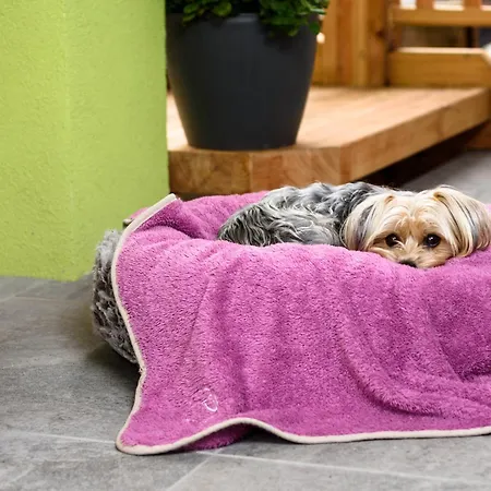 Lorenzer Schlafstubn/haus Wanderl Bed & Breakfast