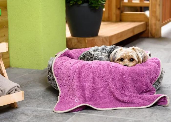 Lorenzer Schlafstubn/haus Wanderl Bed and Breakfast