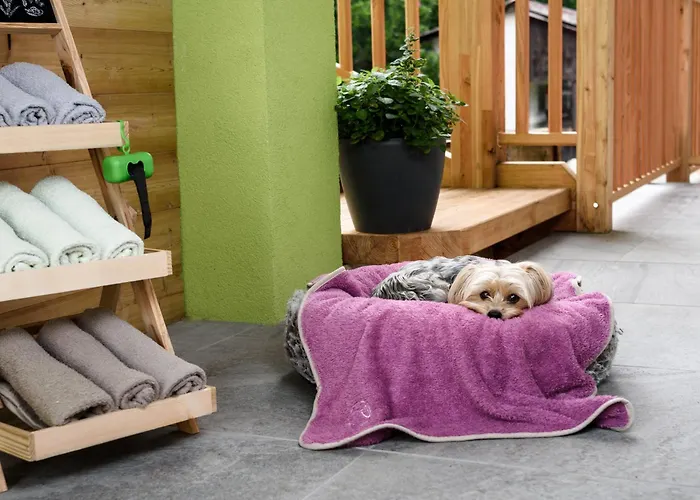 Lorenzer Schlafstubn/haus Wanderl Sankt Lorenzen im Murztal