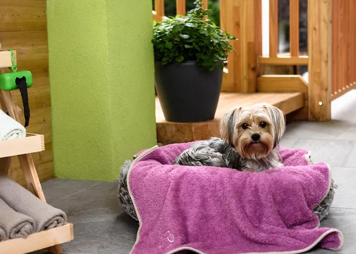 Lorenzer Schlafstubn/haus Wanderl