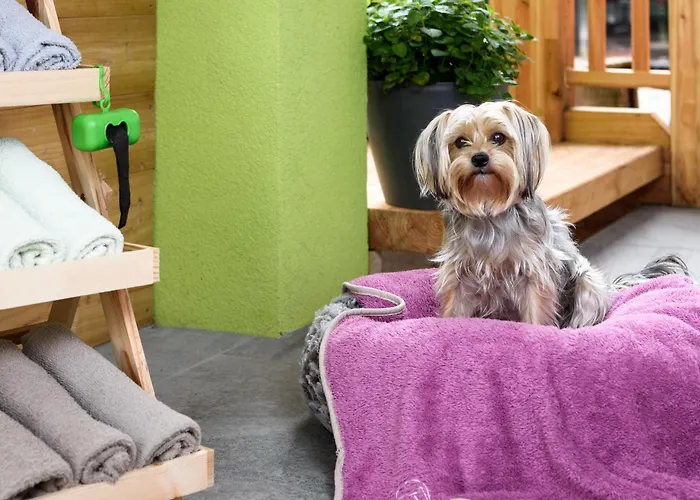 Lorenzer Schlafstubn/haus Wanderl Bed and Breakfast 3*